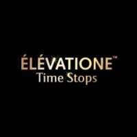 ELEVATIONE Time Stops image 1